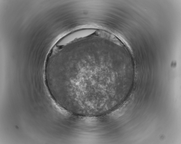 X0000090770845200708101808