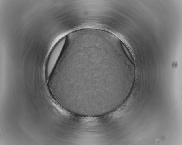 X0000090770846200708101808