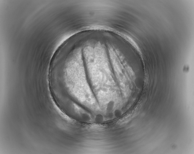 X0000090770847200708101808