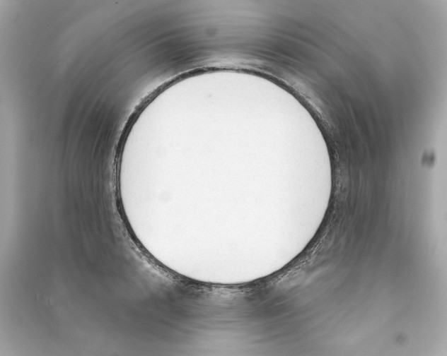 X0000090770848200708101808