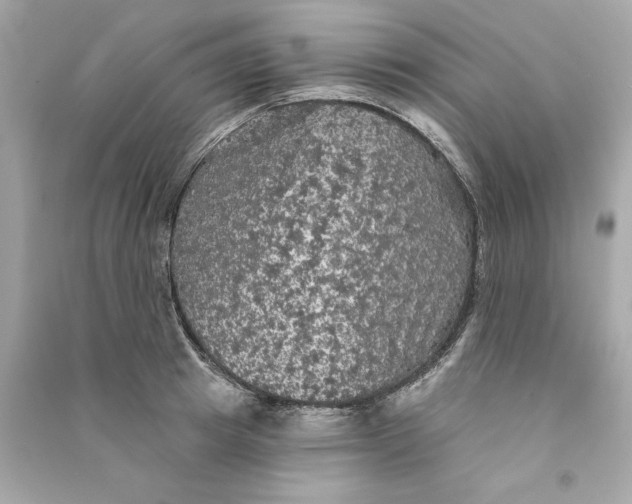 X0000090770849200708101808