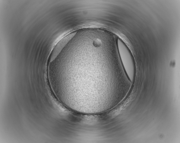 X0000090770850200708101808