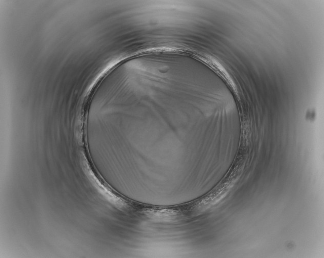 X0000090770851200708101808