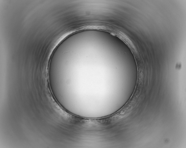 X0000090770852200708101808
