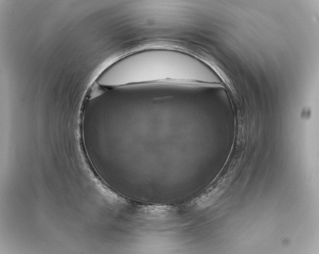 X0000090770853200708101808
