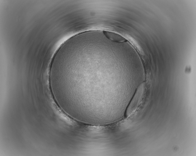 X0000090770854200708101808