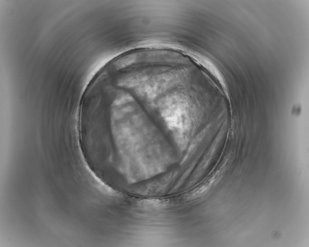 X0000090770855200708101808