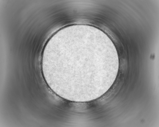 X0000090770856200708101808