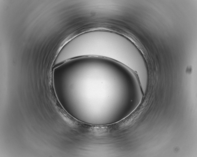 X0000090770858200708101808