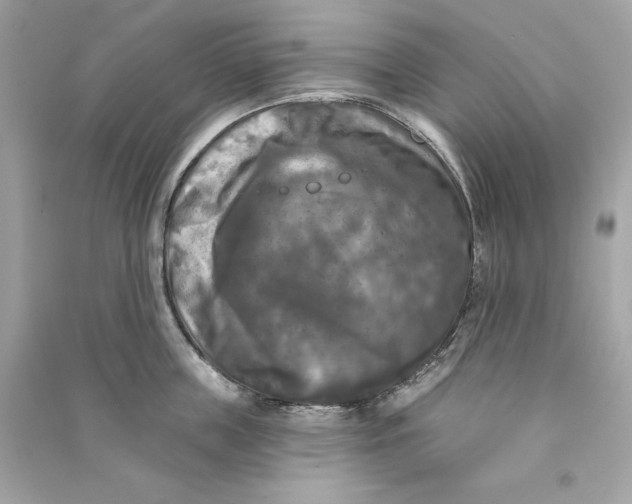 X0000090770859200708101808