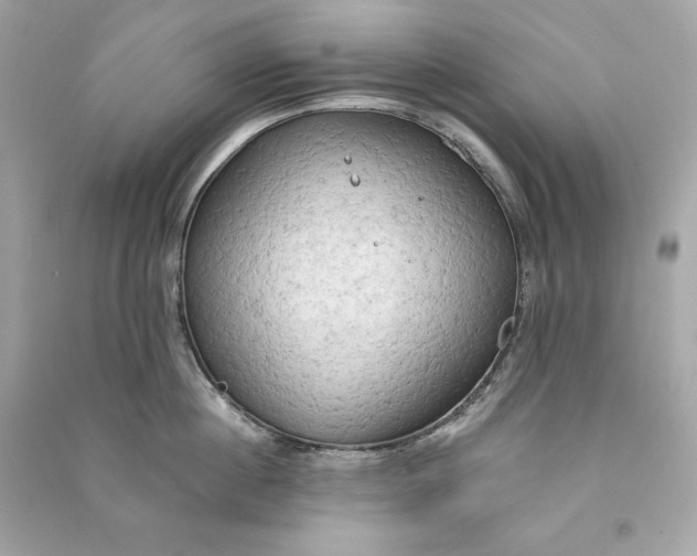 X0000090770860200708101808