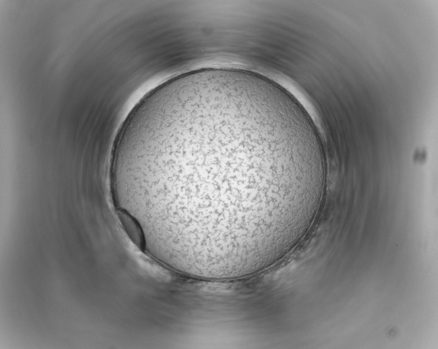 X0000090770861200708101808