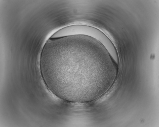 X0000090770862200708101808