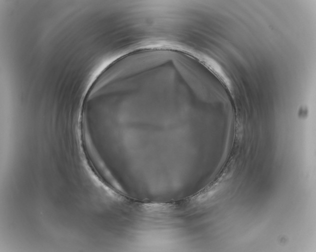 X0000090770863200708101808