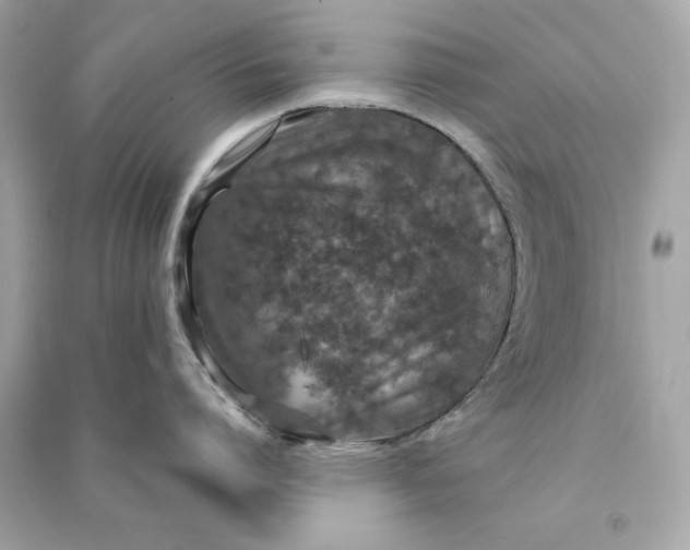 X0000090770864200708101808