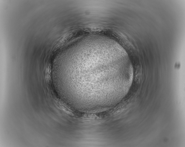 X0000090770866200708101808