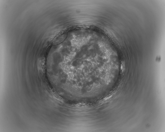 X0000090770867200708101808