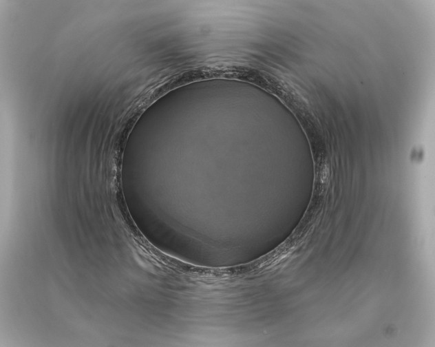 X0000090770868200708101808