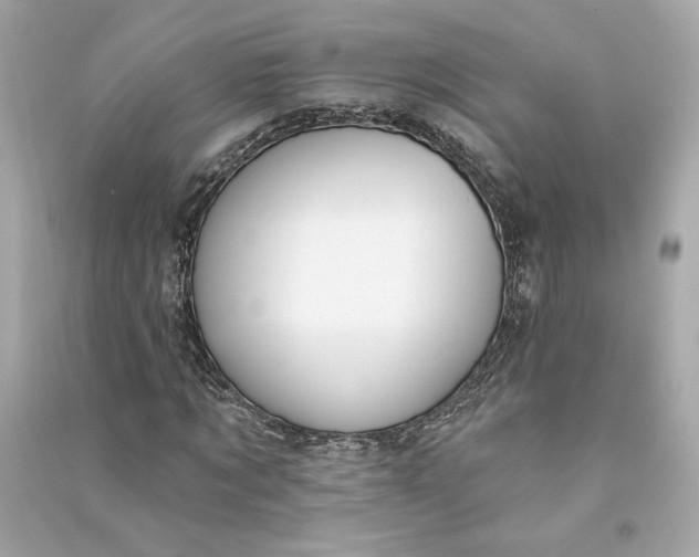 X0000090770869200708101808