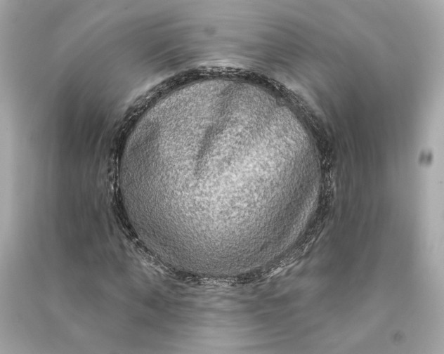 X0000090770870200708101808