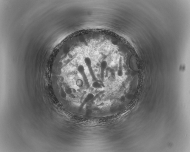 X0000090770871200708101808