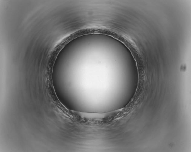 X0000090770872200708101808