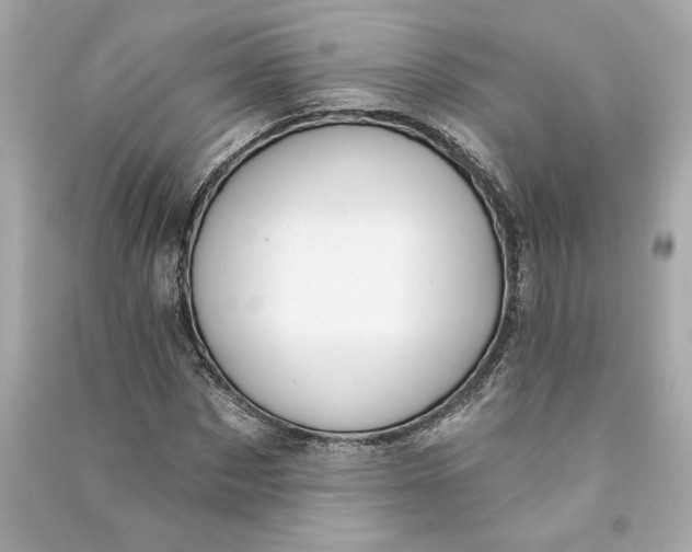 X0000090770873200708101808
