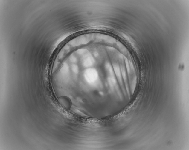 X0000090770875200708101808
