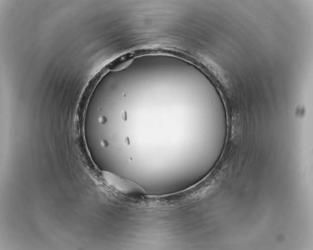 X0000090770876200708101808