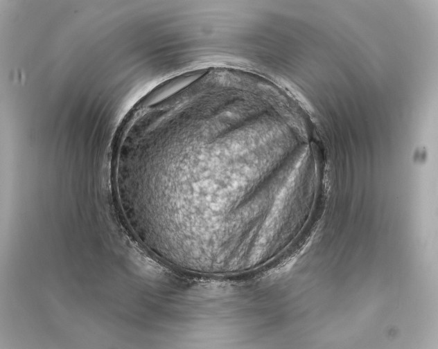 X0000090770877200708101808