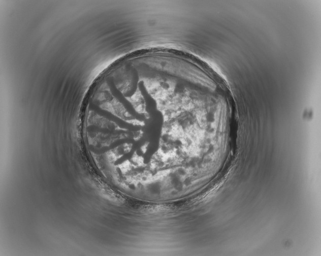 X0000090770879200708101808