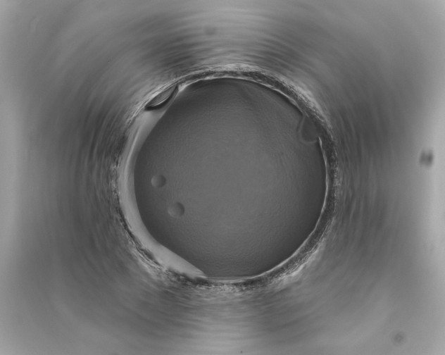 X0000090770881200708101808