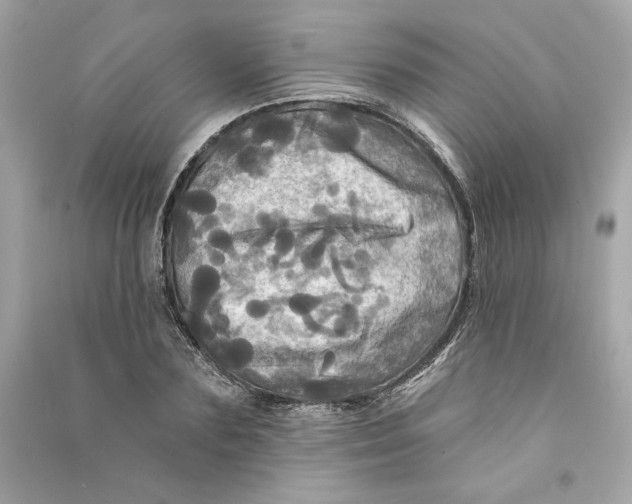 X0000090770883200708101807