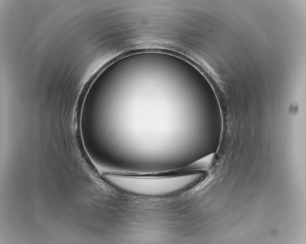 X0000090770885200708101807