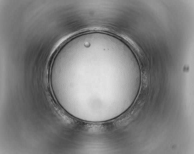 X0000090770886200708101807