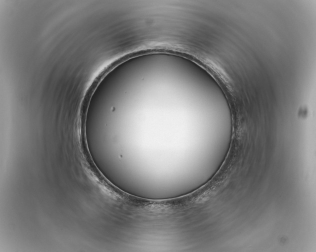 X0000090770888200708101807