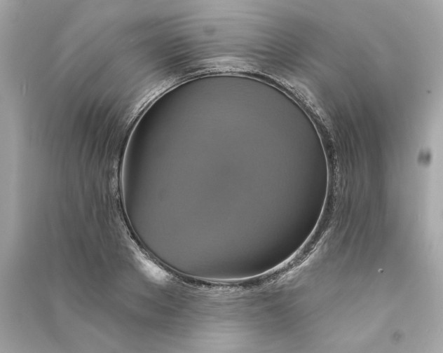 X0000090770889200708101807