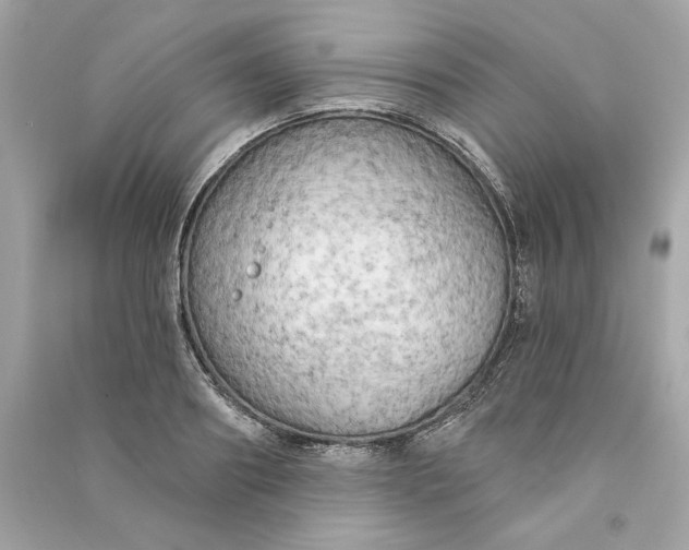 X0000090770890200708101807