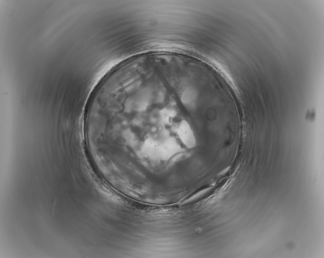 X0000090770891200708101807