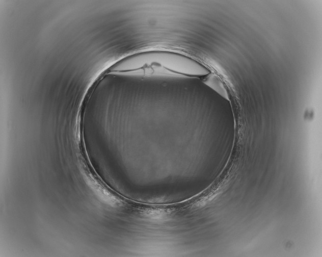 X0000090770892200708101807