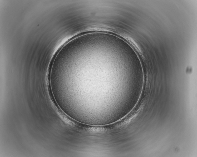 X0000090770893200708101807