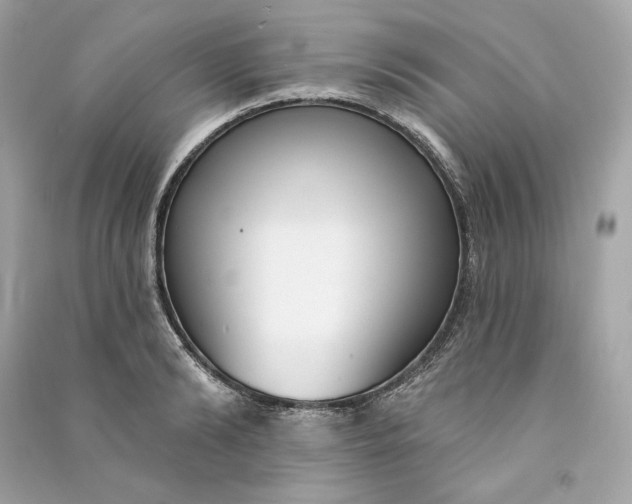 X0000090770894200708101807