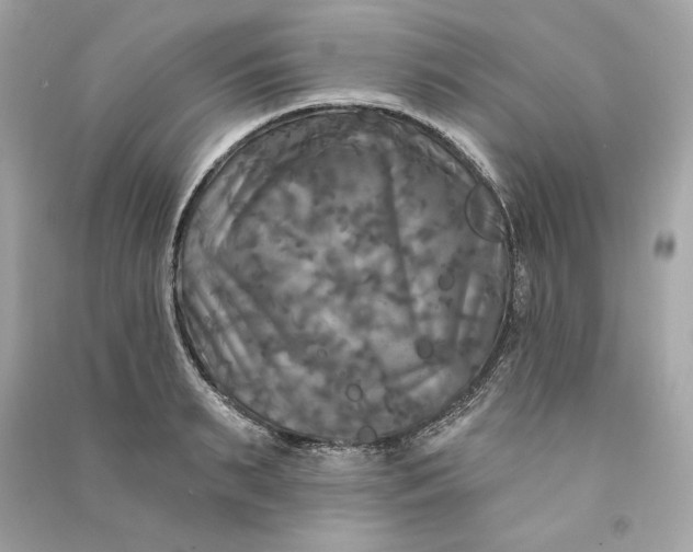 X0000090770895200708101807
