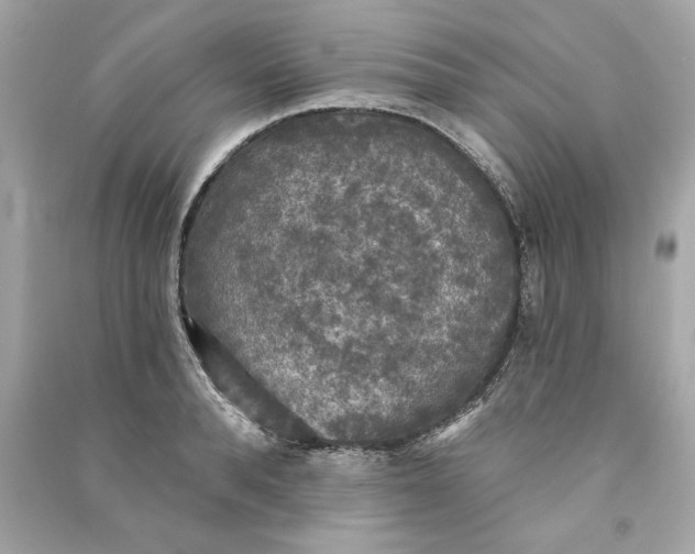 X0000090770896200708101807
