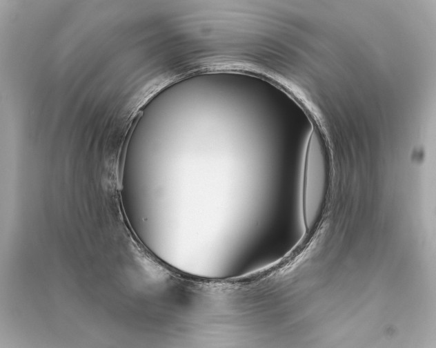 X0000090770897200708101807