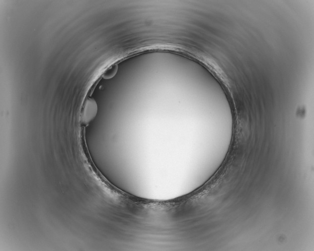 X0000090770898200708101807