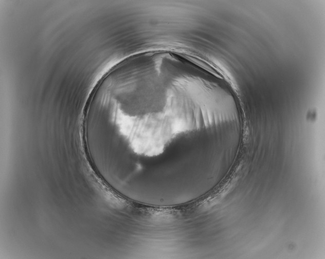 X0000090770899200708101807
