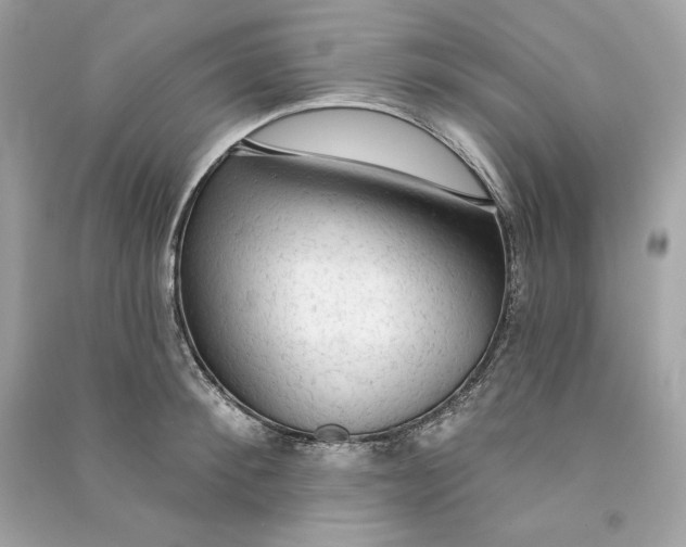 X0000090770900200708101807