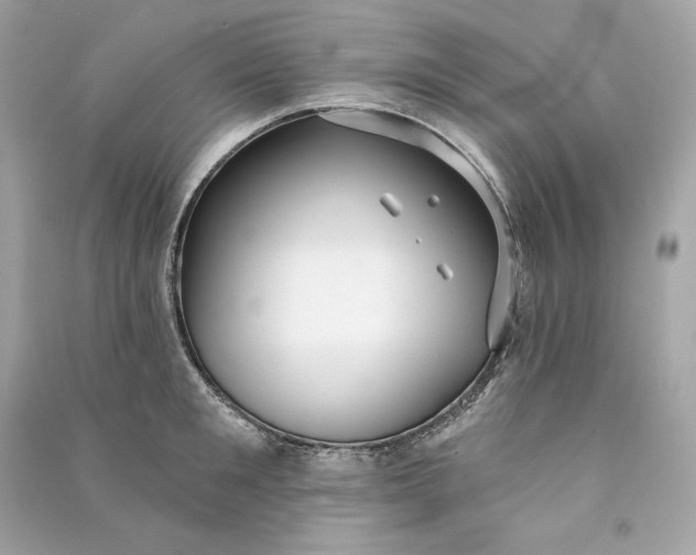 X0000090770901200708101807