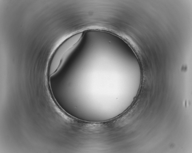 X0000090770902200708101807